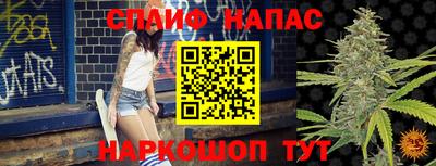 стафф Коломна