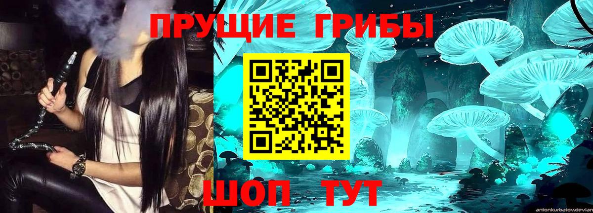 Тавда  Псилоцибиновые грибы Cubensis  Вход с VPN  Псилоцибиновые грибы ЛСД 