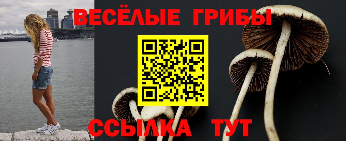 Псилоцибиновые грибы MAGIC MUSHROOMS Тавда