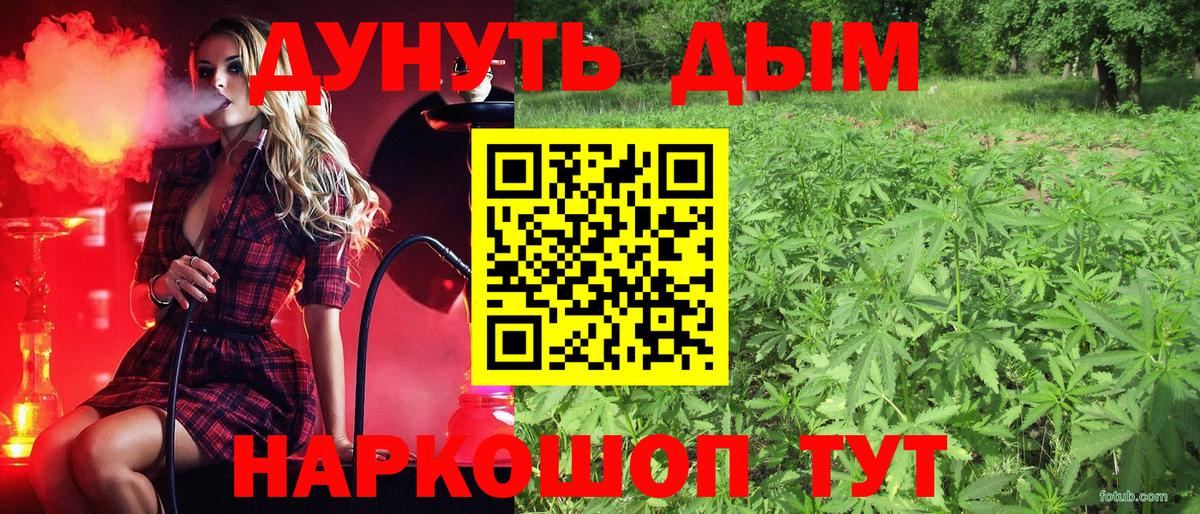 Бошки Шишки сатива Тавда